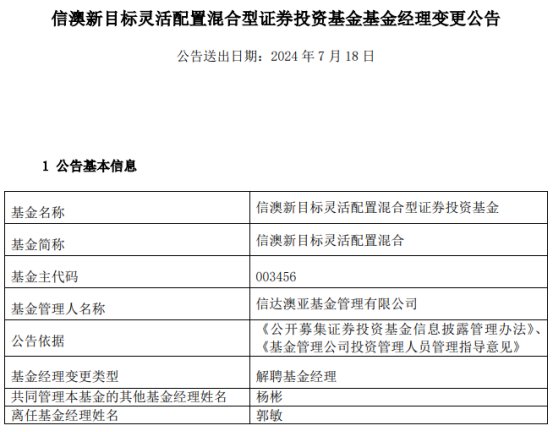 新澳2024年精准正版资料,词语释义解释落实