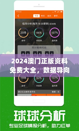 2024新澳门王中王正版,词语释义解释落实